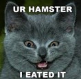 /album/lol-cats/images-2-jpg/